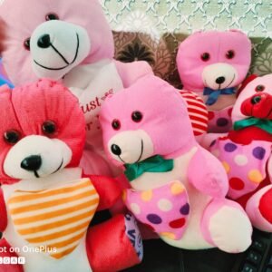 Doll and Toy Maker in Balipara